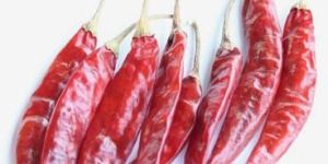 Sannam s4 334 Red Chillii