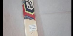 Cricket Bat