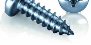 Self Tapping Screw