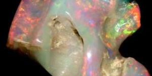 T50 Polished Opal Stones