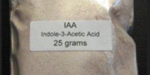 Indoleacetic Acids