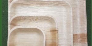 Disposable Areca Leaf Plate