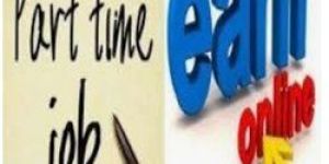 Offline Online Home Business Data Entry Service