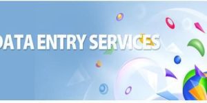 Online Data Entry Work Services