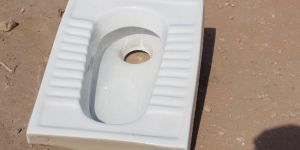 Orrisa pan20