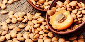 Apricot Nuts