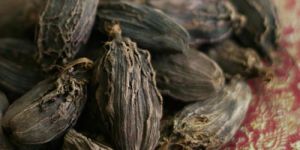 Black Cardamom