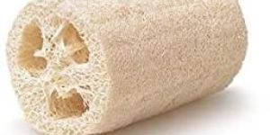 Loofah Sponge
