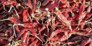 Dried Red Chilies