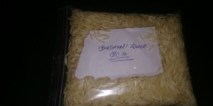 Basmati Rice