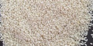 Sesame Seeds