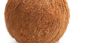 Coconut