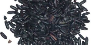 Black Rice