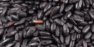 Black Rice.