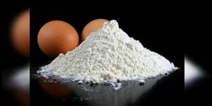 Egg Shell Powder