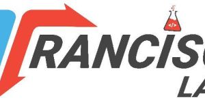 Website Designing Services