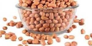 Peanut Kernels