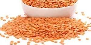 Red Lentils