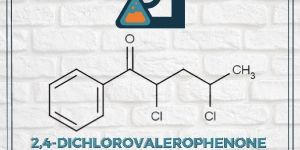 2,4-DICHLOROVALEROPHENONE