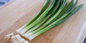 Fresh Green Onion
