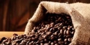 Arabica Coffee Beans