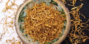 Cordyceps Militaris Mushroom