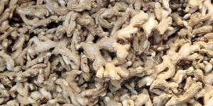 Dry Ginger