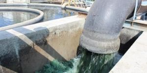 Dying Waste Water Treatment Plant