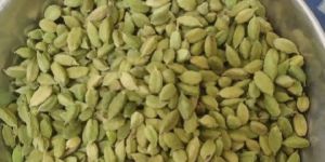 Bold Green Cardamom