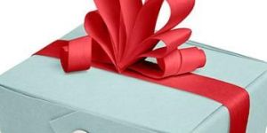 Gift Wrapping Ribbon