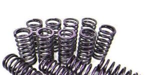 Clutch Springs