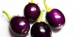 Fresh Brinjal