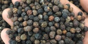 Black Pepper