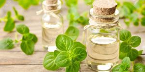 Oregano Herbal Oil