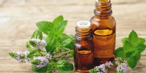 Peppermint Essential Oil