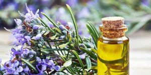 Rosemary Essential Oil