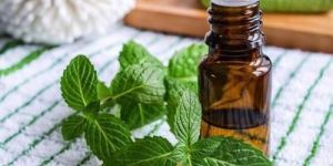 Spearmint Essential Oil