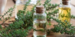 Thyme Essential Oil
