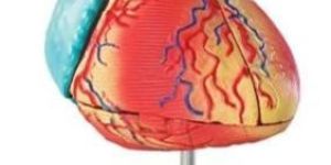 Biology Laboratory Equipment