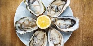 Oyster Extract