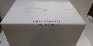 Thermocol Ice Box