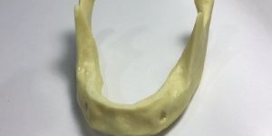 Drilling Practice Dental Model