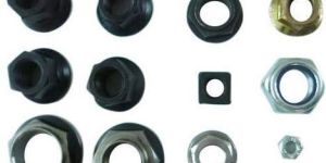 Stainless Steel Nuts