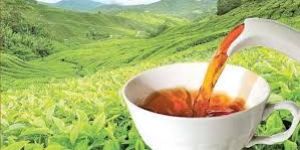 Black Tea