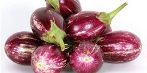 Fresh Brinjal