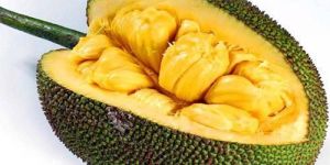 Fresh Jackfruit