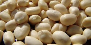 Whole Blanched Peanut