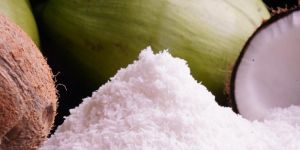 Coconut Powder