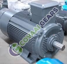 Squirrel Cage Motors