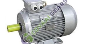 Three Phase Squirrel Cage Motors